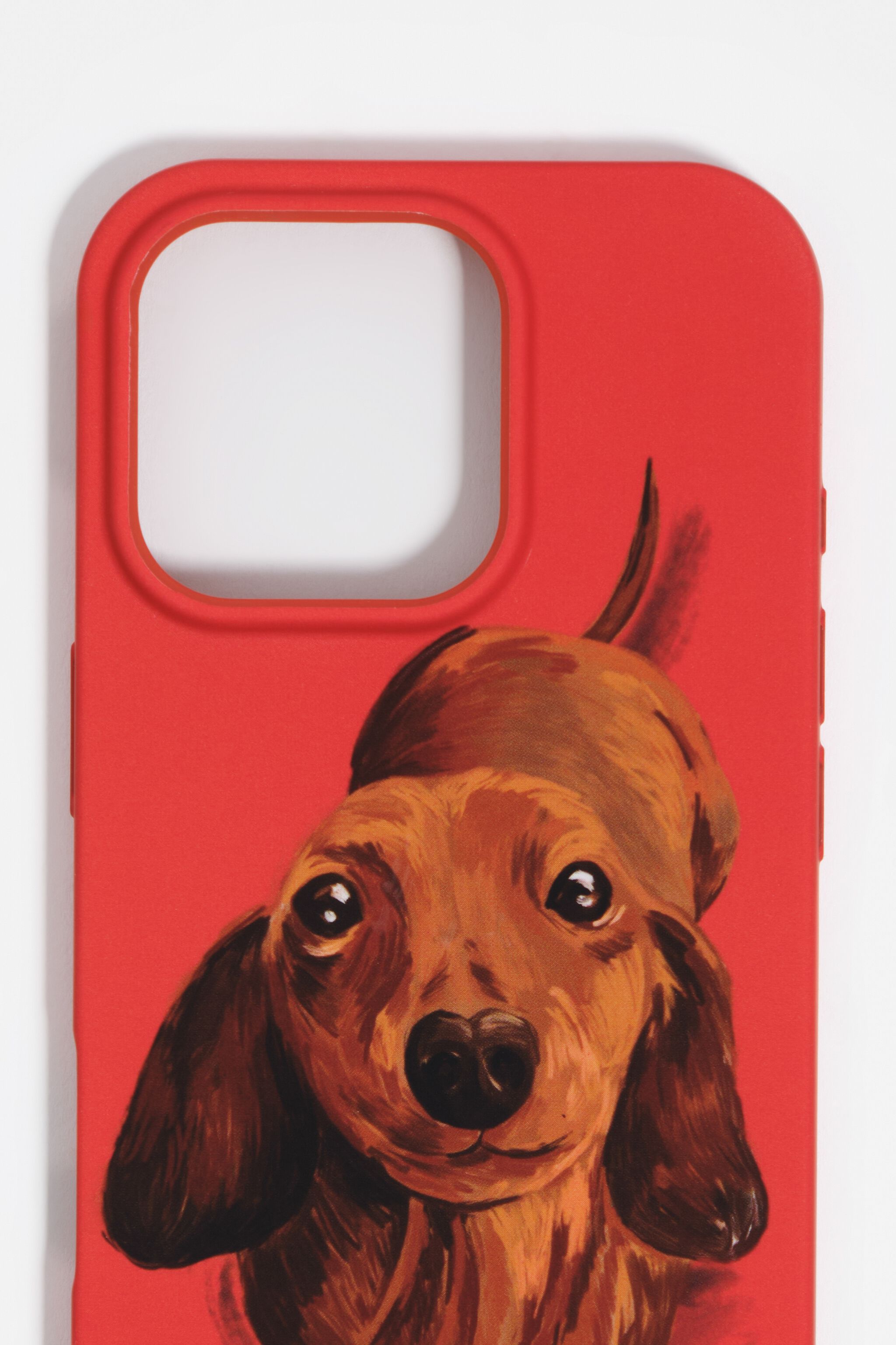 Rotes Dackel-Design für iPhone 16 Pro Hartschale