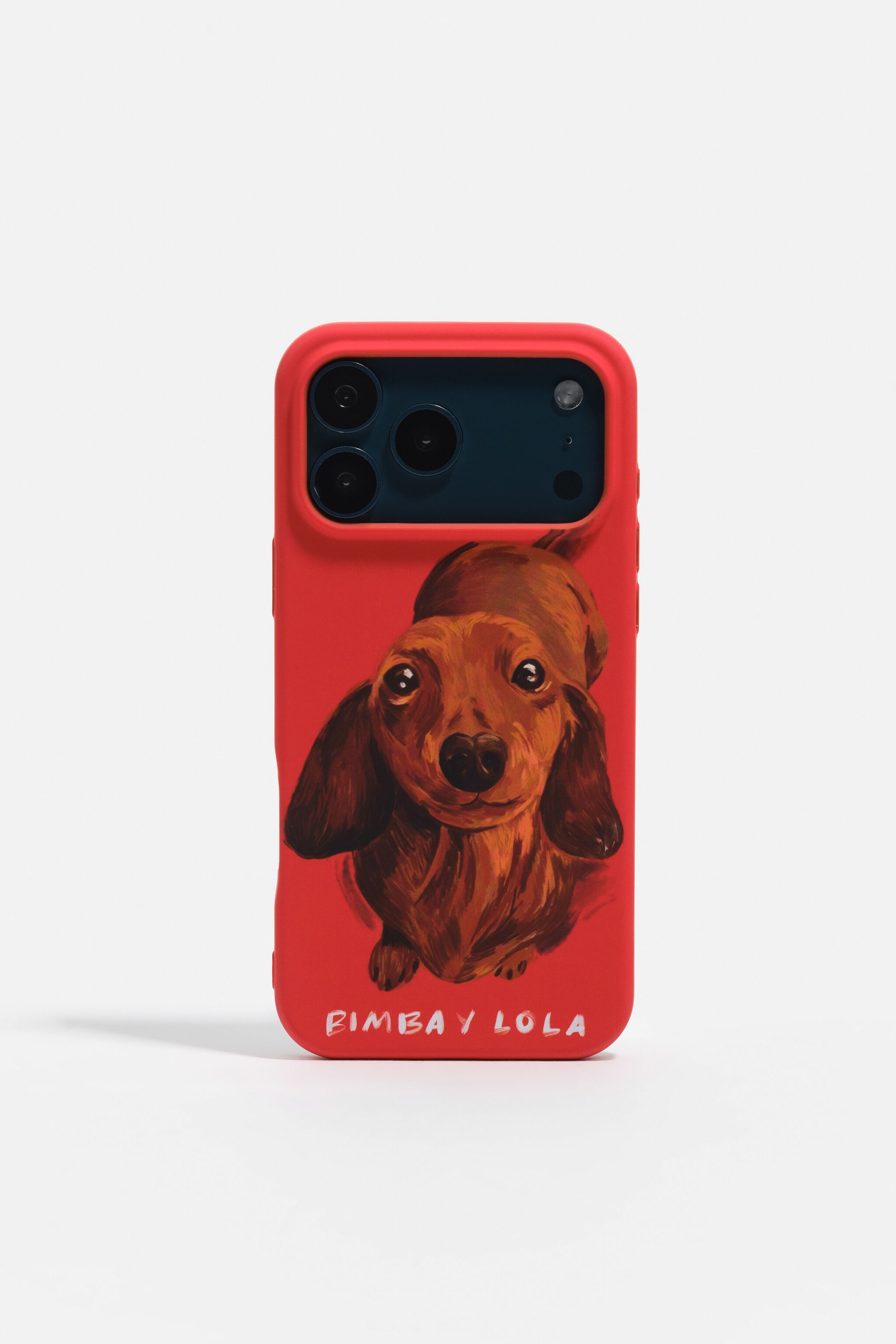 Rotes Dackel-Design für iPhone 17 Pro Max Hartschale