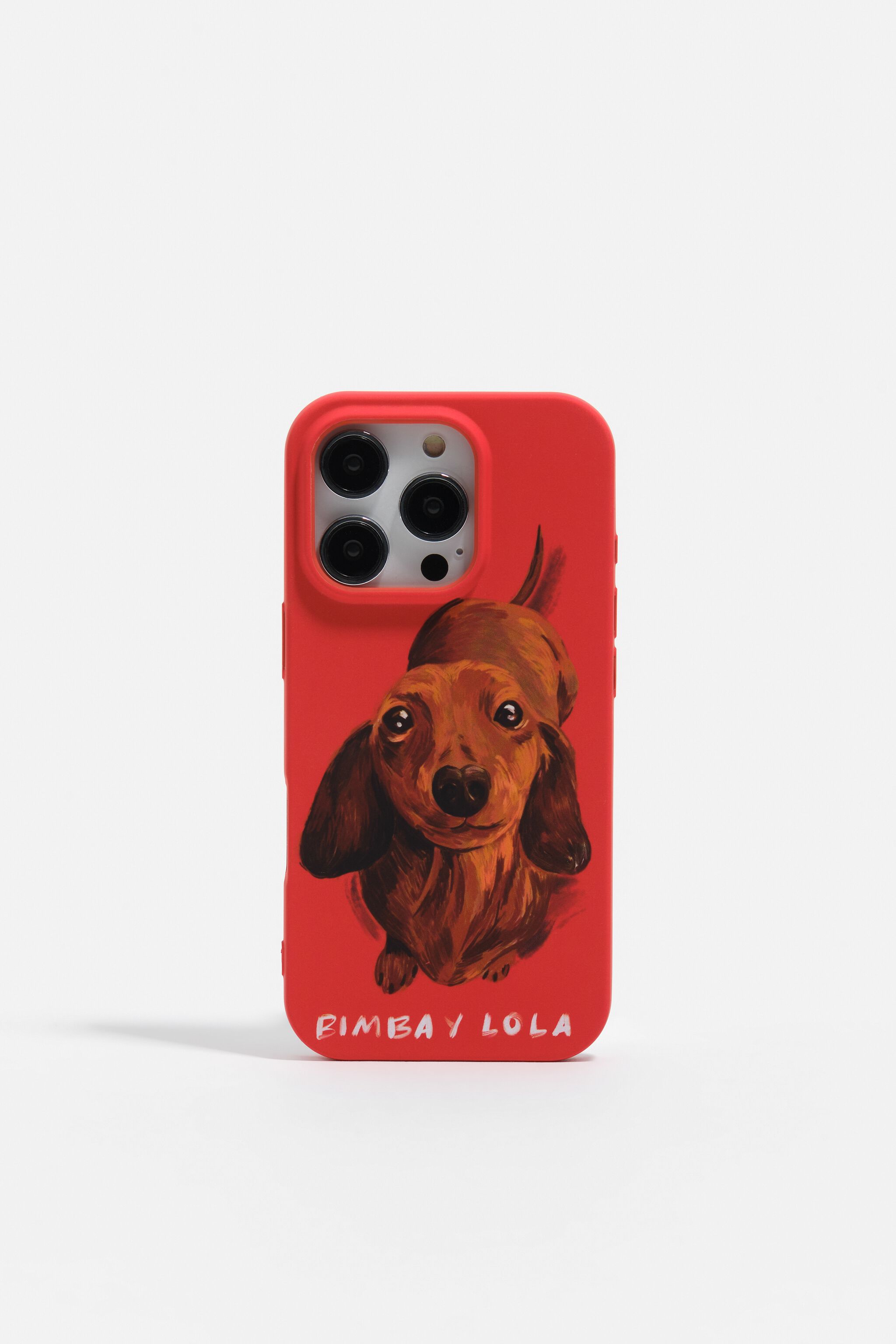 Rotes Dackel-Design für iPhone 16 Pro Hartschale
