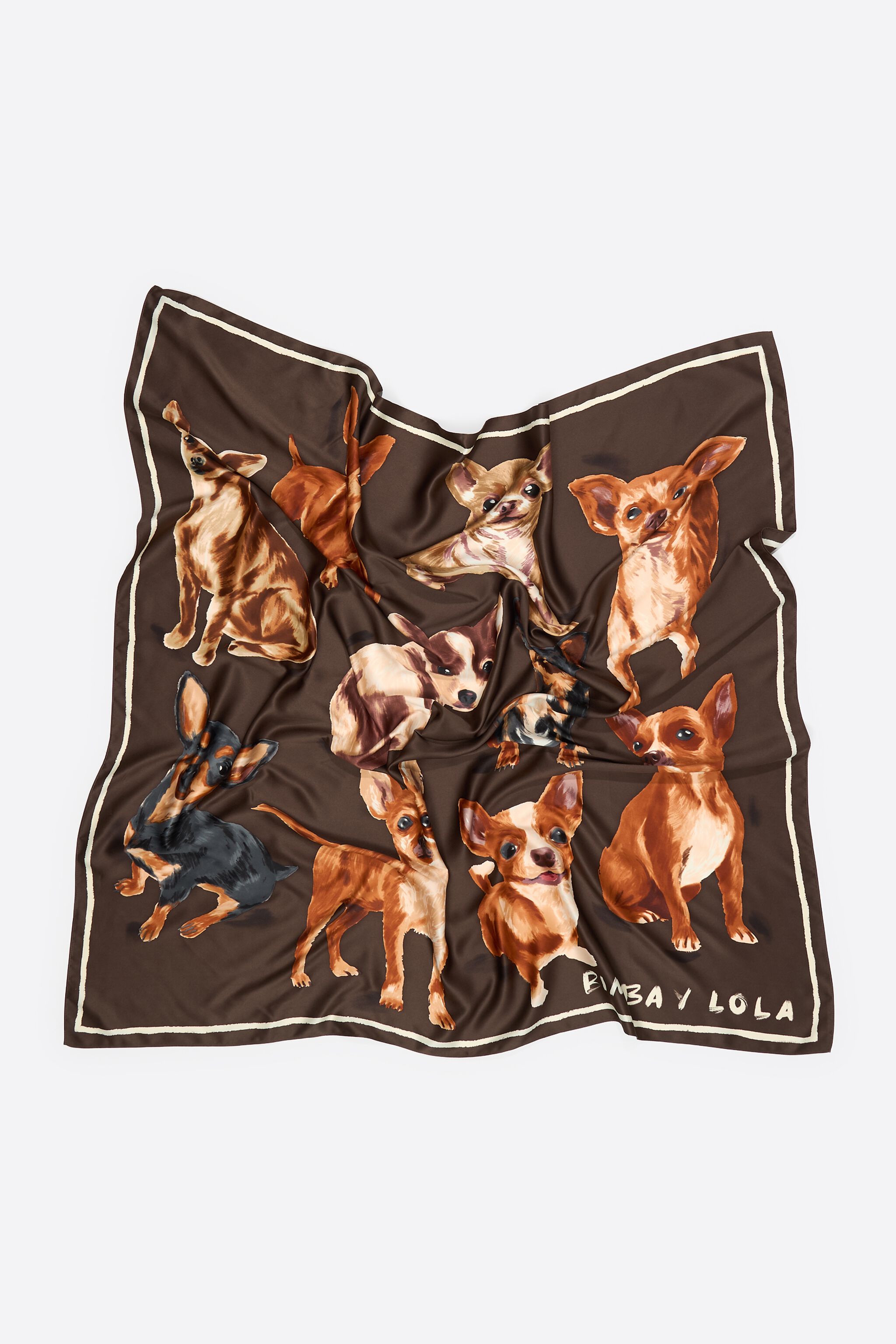Brauner Chihuahua Schal