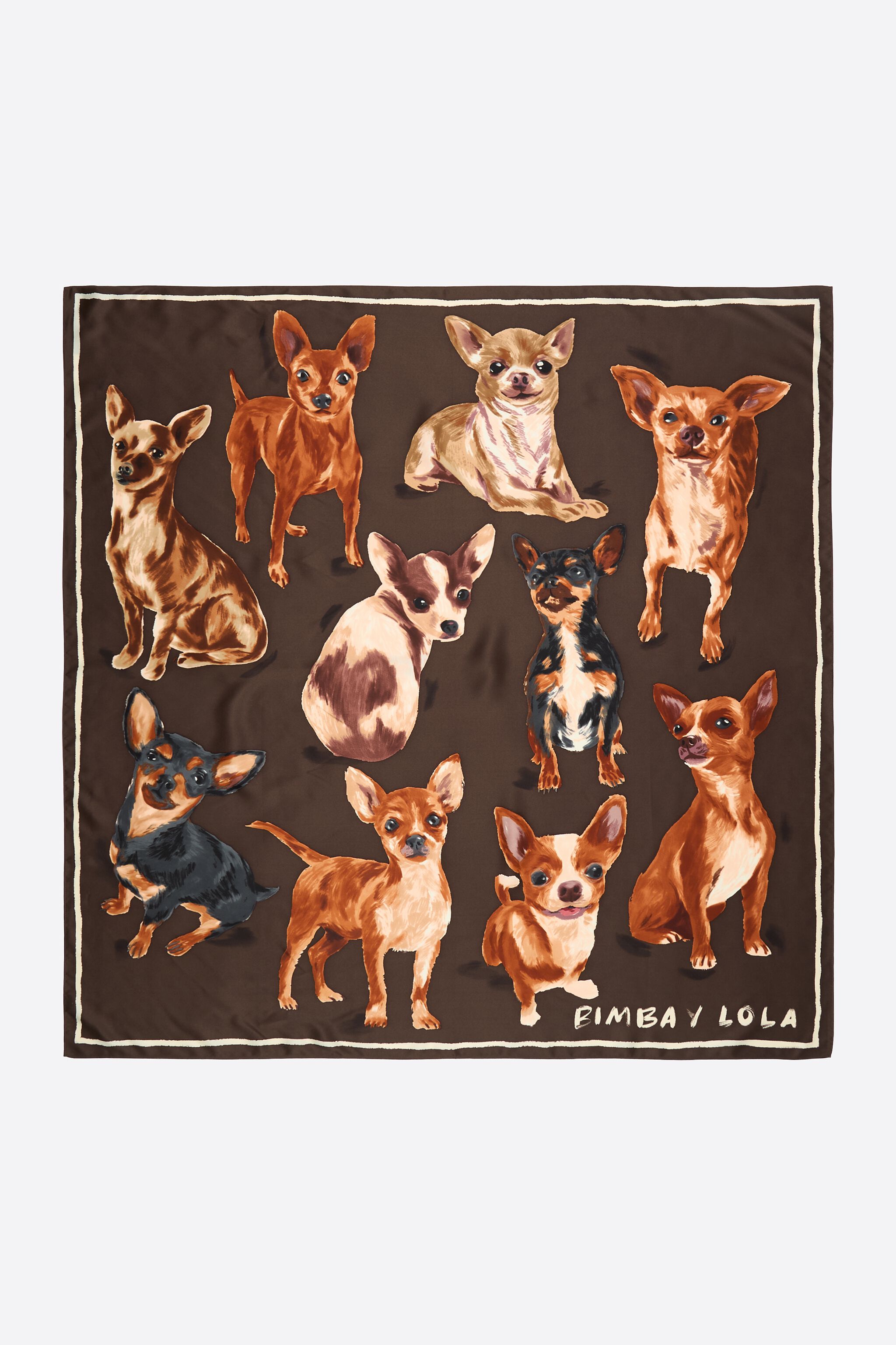 Brauner Chihuahua Schal