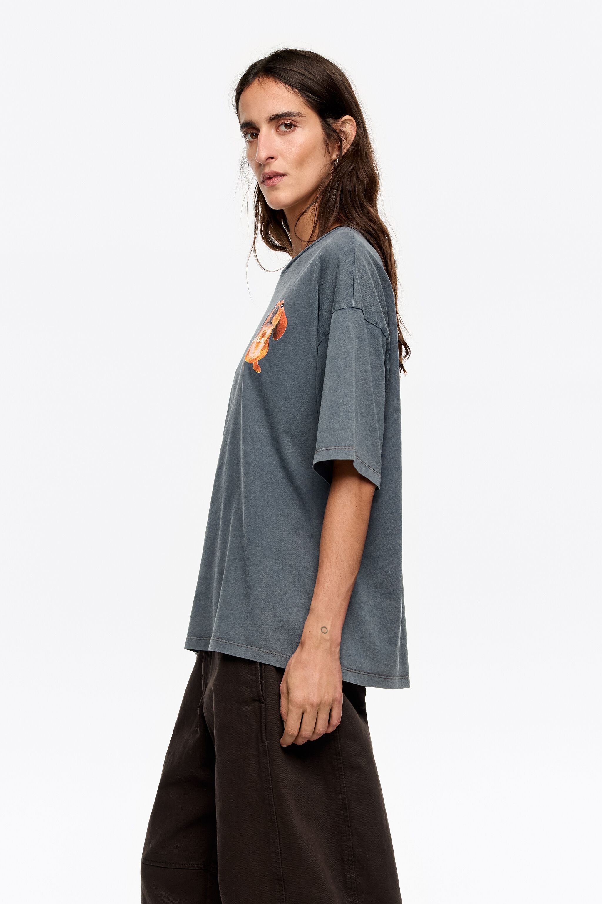 Graublauer Dackel-Logo-T-Shirt