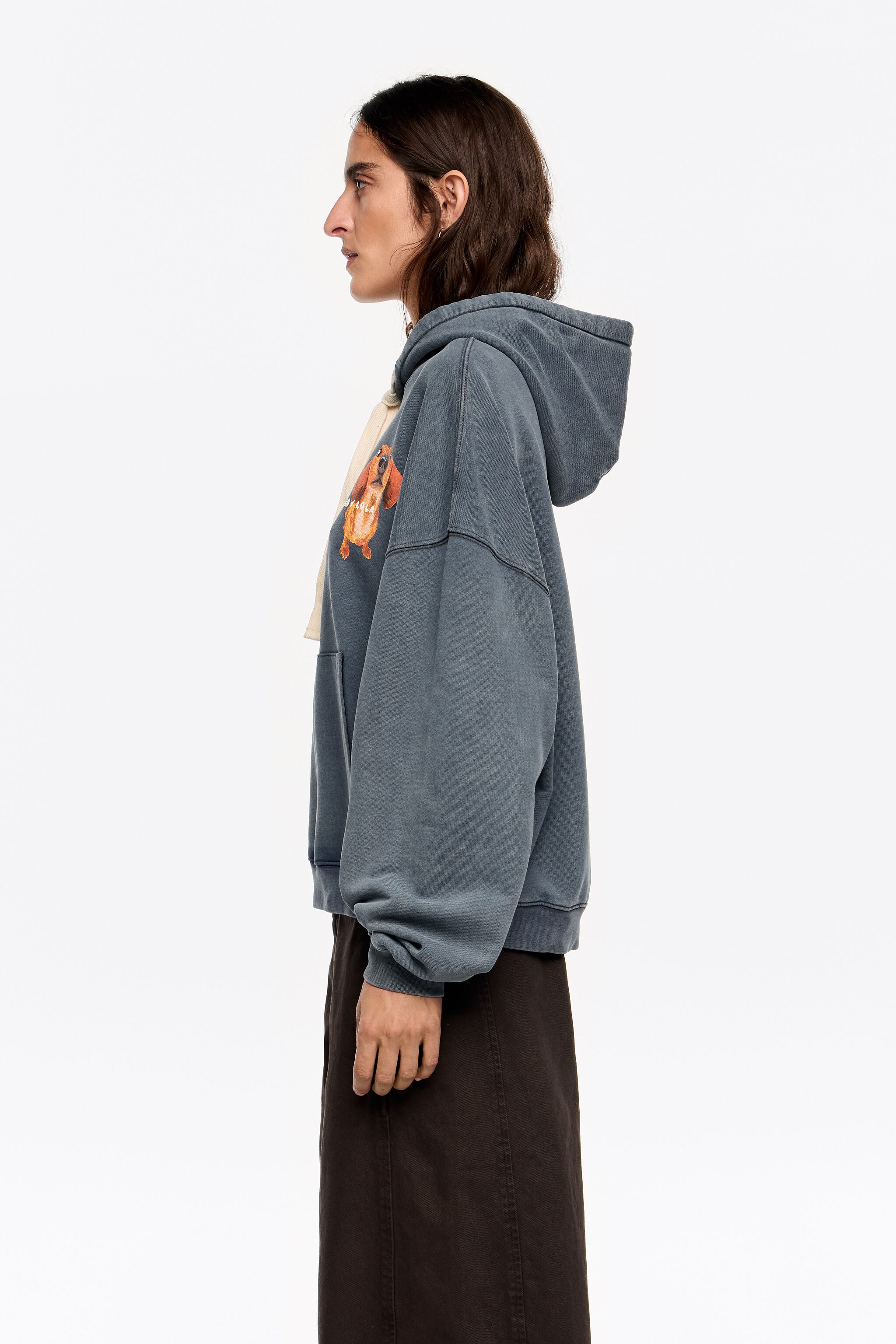 Graublauer Dackel-Logo-Hoodie