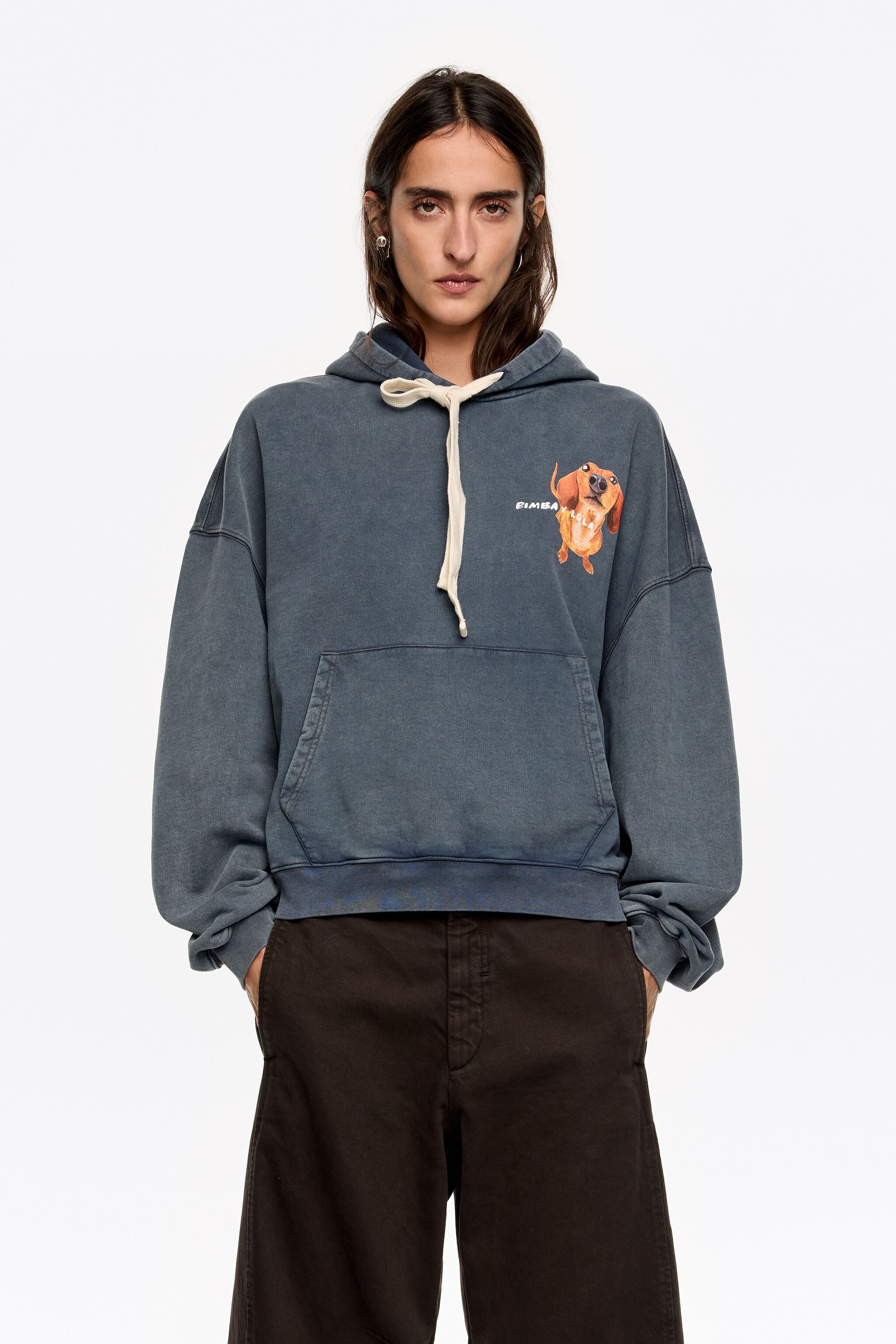 Graublauer Dackel-Logo-Hoodie
